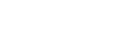 The Village Spice logo